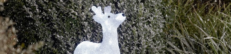 Outdoor Decorations